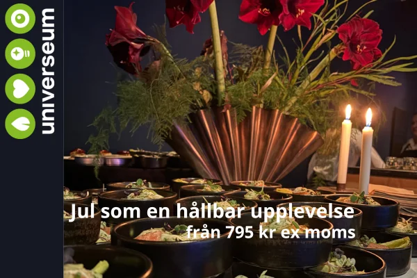 Julbord på Universeum